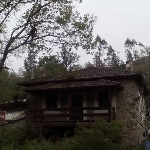 Vertinor zona rural