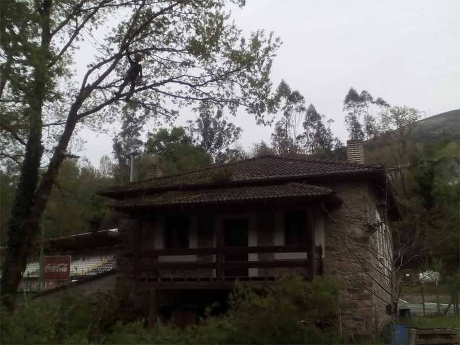 Vertinor zona rural
