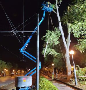 Vertinor hombres realizando trabajo de poda
