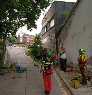 Vertinor poda en altura avanzado