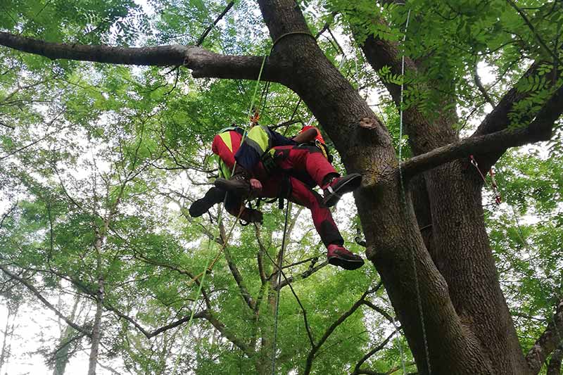 Vertinor curso de rescate