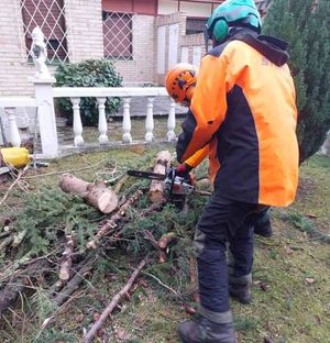 Vertinor hombres en curso de manejo y mantenimiento de motosierra