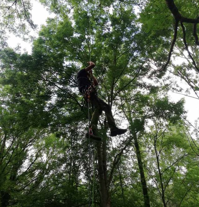 Vertinor hombre en curso de altura básico